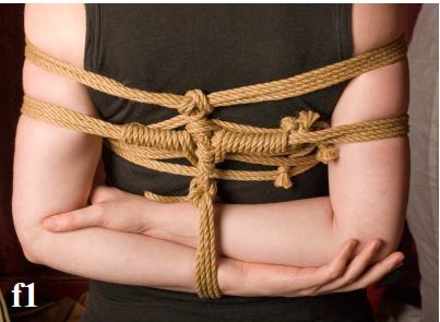 A Guide for Rope Bottoms and Bondage Models Kinbaku Today 1