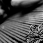 DSC_9906 als Smartobjekt-1