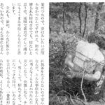 Kitan Club 1954:4 29-4 crop